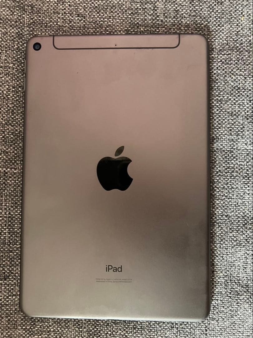 iPad mini5 64GB　セルラー　(スペースグレー) Apple iPad mini 7.9インチ 第5世代 Wi-Fi+Cellular 64GB 2019年春