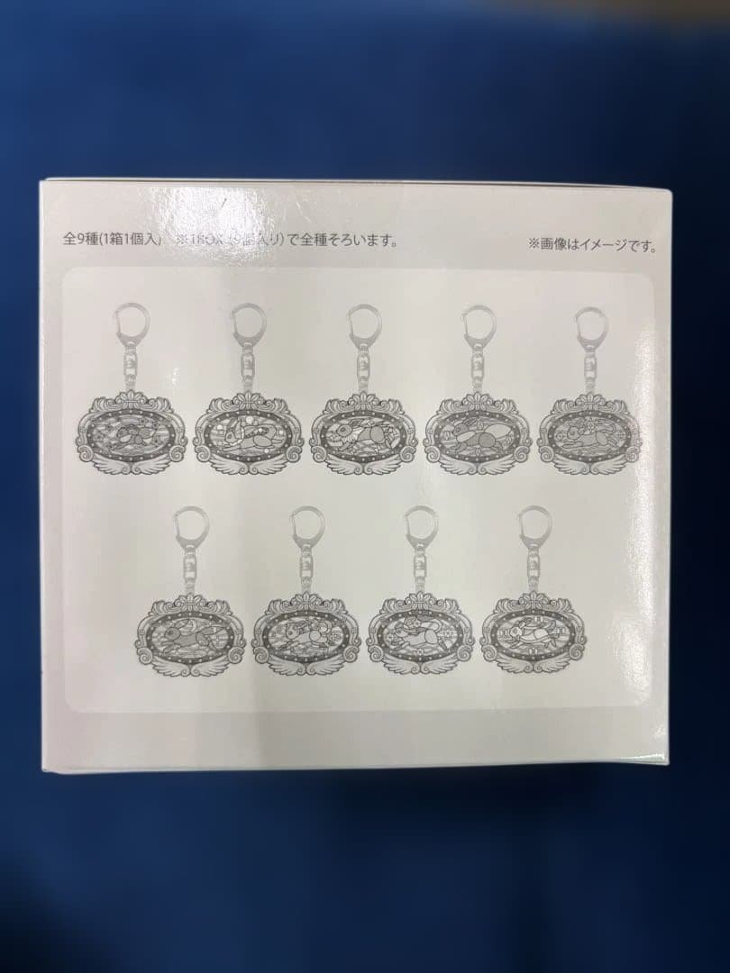 ポケパークカントー限定　イーブイズ　アクリルキーホルダーフルコンプセット ポケパークカントー限定 イーブイズ アクリルキーホルダーフルコンプ