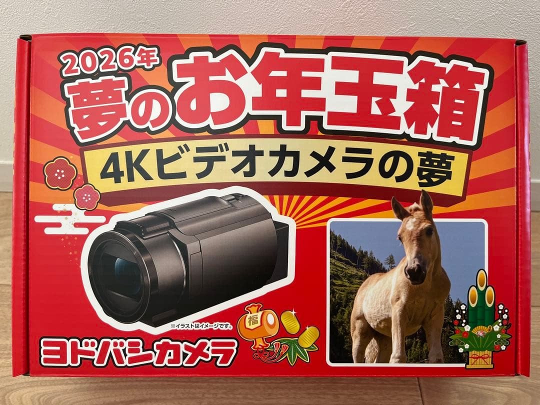 【新品】4Kビデオカメラの夢 SONY ソニー FDR-AX45 ヨドバシ福袋 新品 ヨドバシカメラ 福袋 4Kビデオカメラの夢 Sony ソニー Handycam